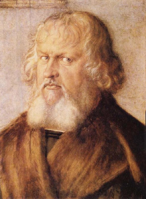 Albrecht Durer Portrait of Hieronymus Holzschuher Norge oil painting art